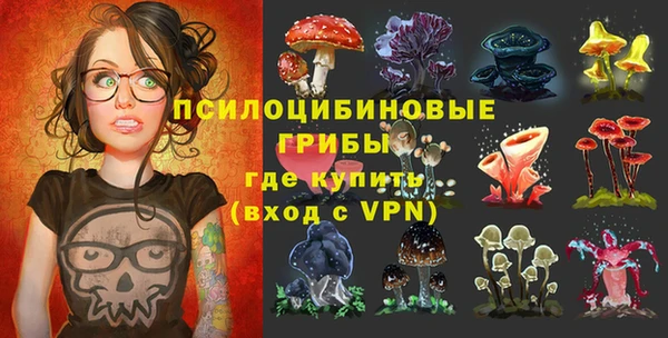меф Нягань